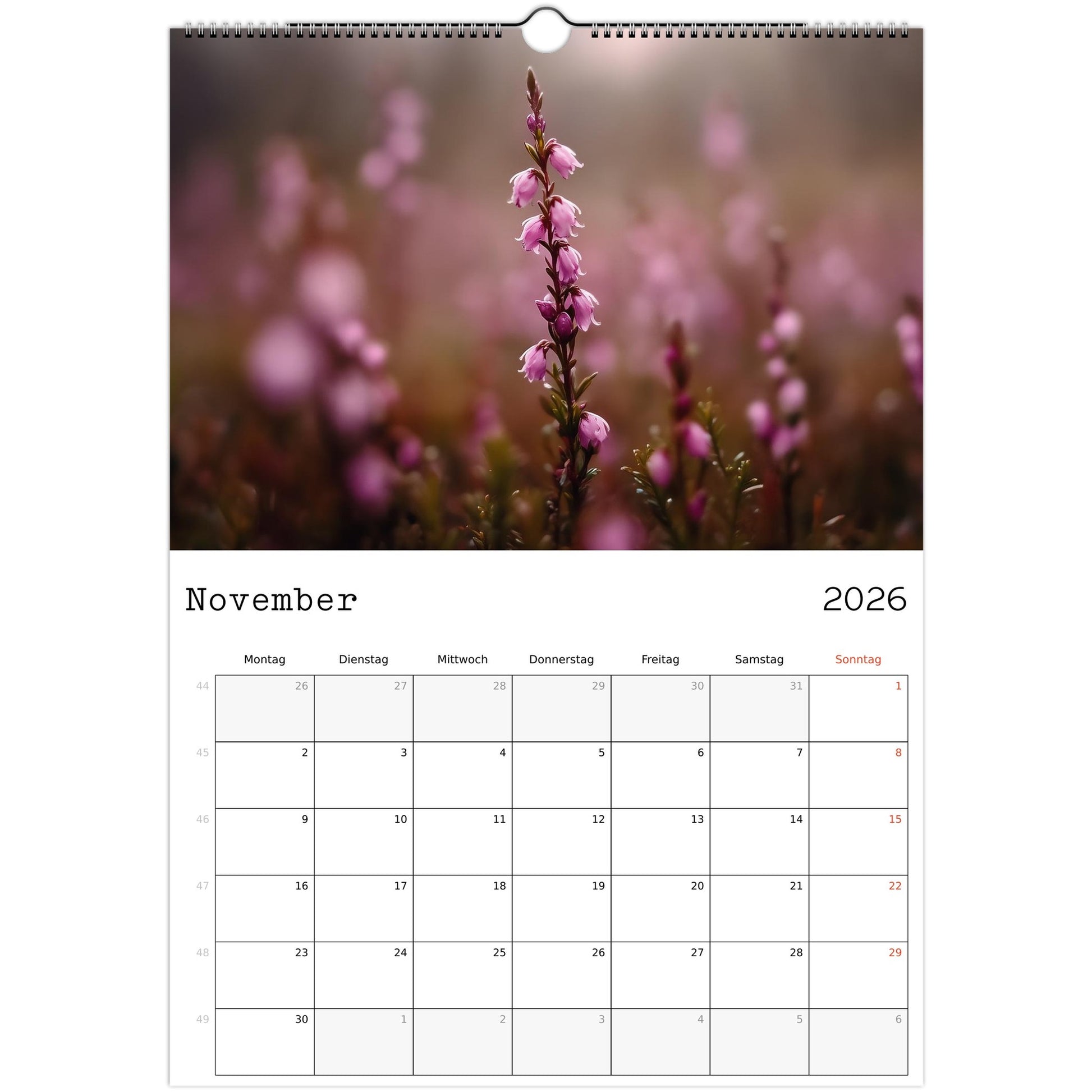 1fa3e7a2-bd1a-4df4-a420-c1075bebc612