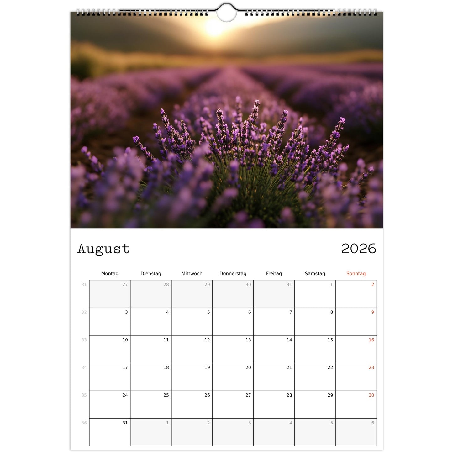 46c54e6a-f761-43bd-aa7a-4c688fb4aecb